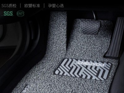 车丽友 定制主驾驶单片汽车脚垫丝圈