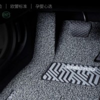 车丽友 定制主驾驶单片汽车脚垫丝圈适用于途观L迈腾帕萨特朗逸plus速腾